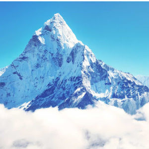 Meet your Posher, Elaina